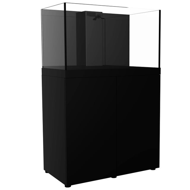 Aquariums | MC Aquatics