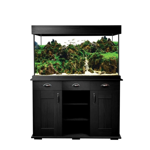 AQUARIUMページ Tsunami 300-Gallon 72