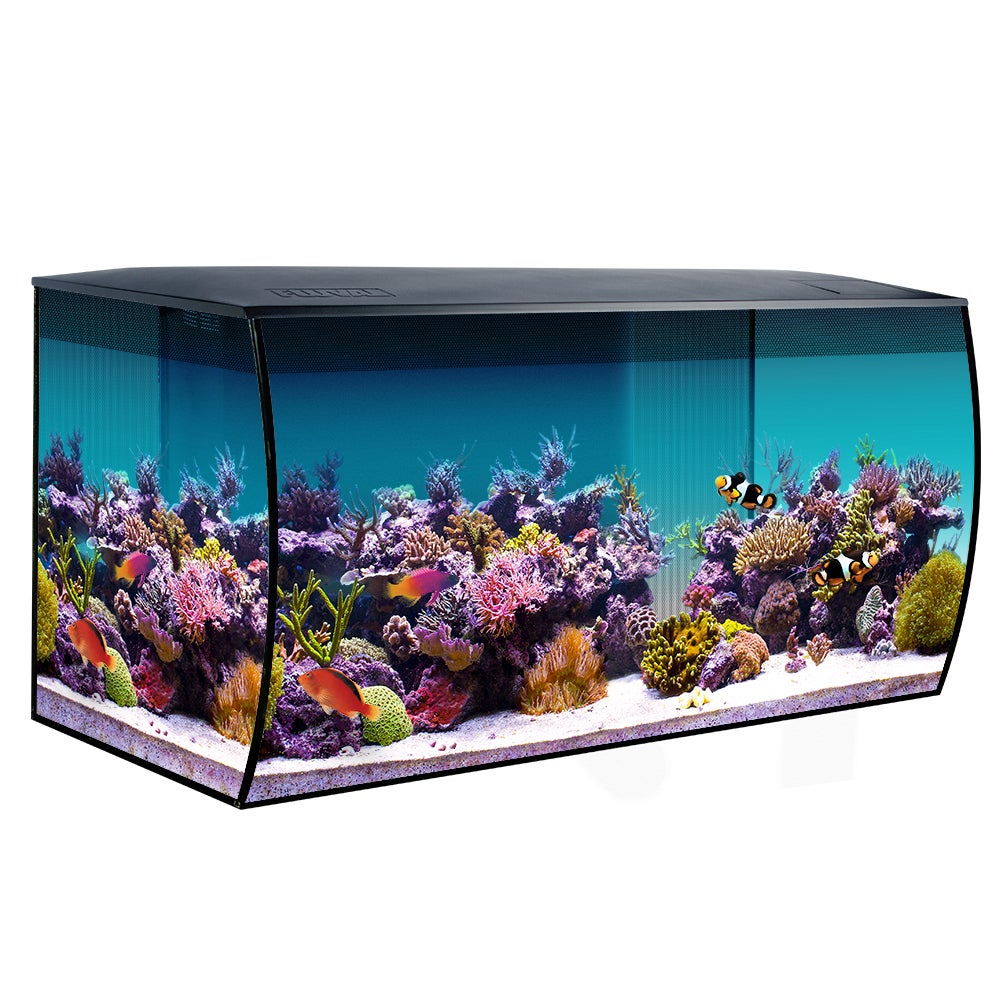 Fluval Sea Flex Saltwater Aquarium Kit 123 L 32.5 US gal Black MC Aquatics