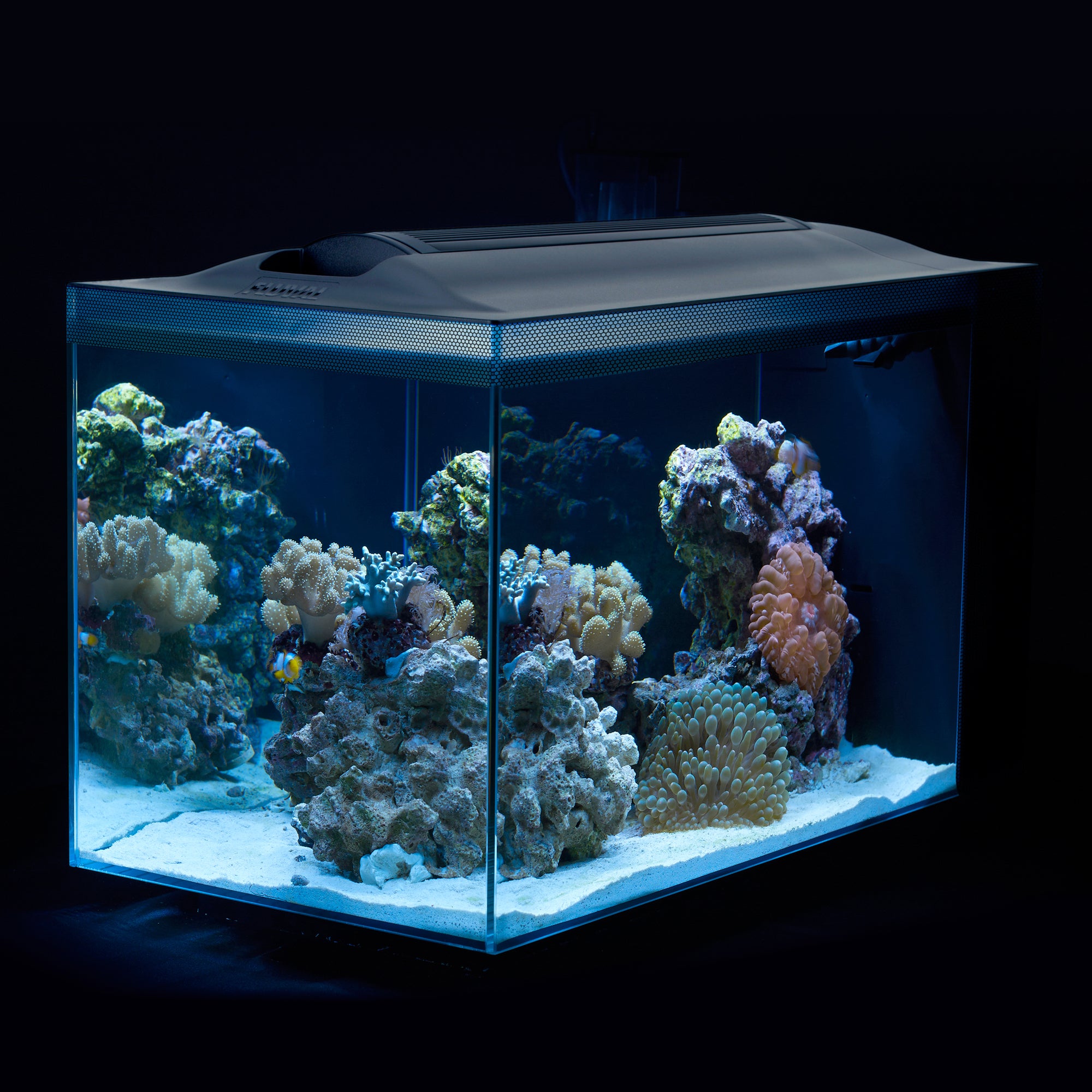 Fluval 5 gallon evo v marine aquarium kit outlet